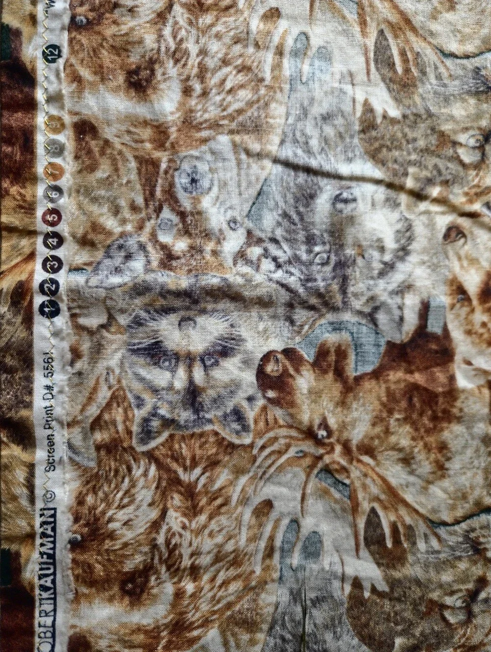 Robert Kaufman 